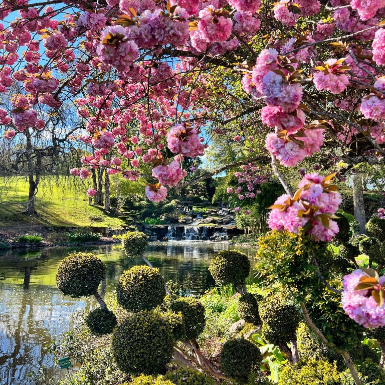 Parc floral d'Apremont-sur-Allier