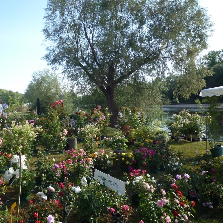 Parc floral d'Apremont-sur-Allier